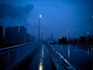 purple corn cob holders with silicone tassles kind of like bikers gloves but different plug and play