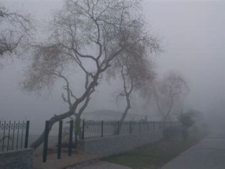 purple corn cob holders with silicone tassles kind of like bikers gloves but different plug and play